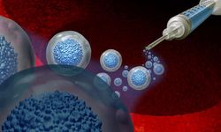 Bilimsel araştırma: Yaşlanan hücreler yeniden gençleştirilebilir