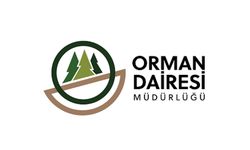 Orman Dairesi: Boğazköy'deki ağaç kesimi izinsiz yapıldı.. Yasal işlemler başlatıldı