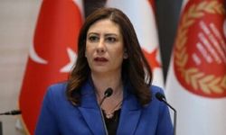 İncirli: Ekonomiyi her alanda daraltan bir bütçe