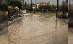 Gıda Mühendisleri'nden sel sonrası uyarı: Kirli suya temas eden hiçbir gıda güvenli değildir