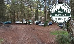 Patika: Ormanlar nefes alanlarımızdır, gelir kapısı değil