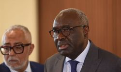 Diagne, BM Güvenlik Konseyi’ni bilgilendirecek