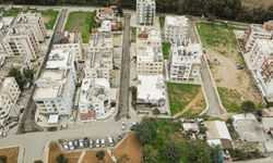 Kaliland bölgesinde katran serme işlemine geçiliyor