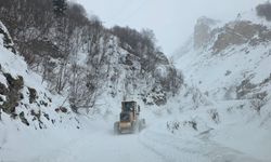 Türkiye’nin 28 ili için çığ uyarısı