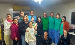 Gazimağusa Belediyesi’nden sokak hayvanları için kısırlaştırma kampanyası