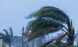 Şiddetli rüzgar uyarısı