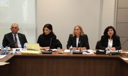 Hukuk, Siyasi İşler, Dışilişkiler ve Savunma Komitesi, Ceza (Değişikik) Yasa Tasarısı’nı görüştü