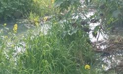 "Gemikonağı Deresi’ni kaplayan foseptik kirliliği üç aydır olduğu gibi duruyor"