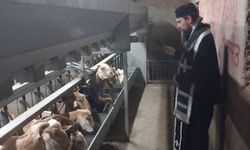 Papazlar Larnaka’da şap hastalığına karşı kutsama ayini yaptı