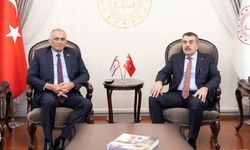 Bakan Çavuşoğlu'ndan mevkidaşı Tekin ile görüşmesine ilişkin açıklama