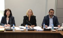 Hukuk, Siyasi İşler, Dışilişkiler ve Savunma Komitesi toplandı