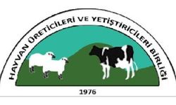 Hayvan Üreticileri Birliği: Hayvancılık sektörü göz göre göre çökertiliyor