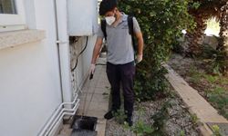 İskele Belediyesi, haşere ve sineklere karşı ilaçlama faaliyetlerine başladı