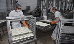 KTSO: Yeşil Hat üzerinden hellim ihracatındaki engel kalkıyor