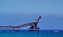 Lefke Çevre ve Ekoloji Derneği: Çevre sorunları ertelenemez bir noktaya ulaştı