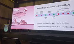 Çavuş: Bilimsel çalışmalar ve yenilikçi yaklaşımlar hayvancılık sektörünün geleceği için yol gösterici