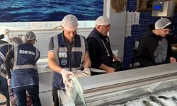 Gönyeli ve Alayköy bölgesindeki su ürünleri perakende satış yerleri denetlendi