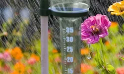 En fazla yağış Balıkesir’de