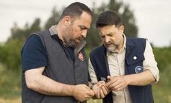Arpa çeşit adaylarının hasadı yapıldı