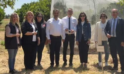 Narenciyede yeşillenme hastalığına karşı başlatılan biyolojik mücadelede başarı...