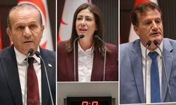 İncirli'nin eleştirilerine Arıklı ile Ataoğlu'ndan yanıt: Hükümette ciddi bir sıkıntı yok