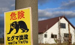 Japonya'da bir fabrikaya giren ayının "pencereyi açıp kaçtığı" düşünülüyor