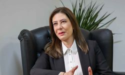 İncirli: Biz memleketi kurtarmaya geliyoruz