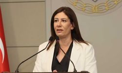 İncirli: Mülkiyet meselesinin çözüm yeri bireysel davalar değil, siyasi çözüm sürecidir