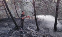 Serdarlı'daki yangın kontrol altına alındı