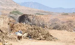 Yayla'da izinsiz kömür ocağına suçüstü!