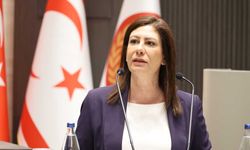 İncirli: Araştırma komitesi hızlı çalışmalı, belgelerle ilerlemeli