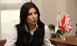 Özdenefe: Cumhurbaşkanı ile CTP arasında istişare yapıldığı iddiası maksatlı