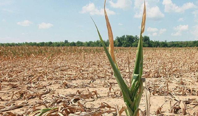 Dünya geri dönülemez sonuçları olan "su iflası" dönemine girdi