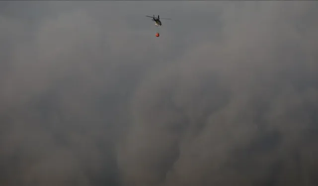 Tayland'daki orman yangınları hava kirliliğini tehlikeli seviyeye çıkardı