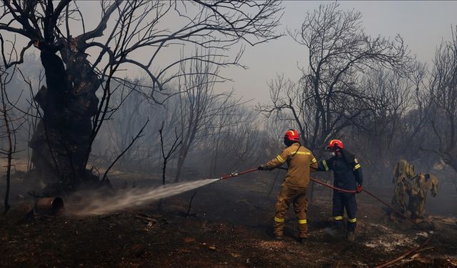 Atina'da yangın: Yerleşim birimlerine ulaştı