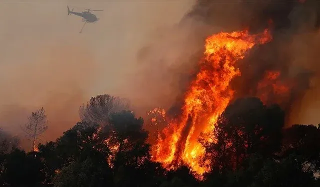 İtalya'da orman yangınları devam ediyor: 2 itfaiye eri hayatını kaybetti