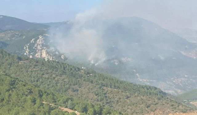 İzmir'deki orman yangını 2'nci gününde
