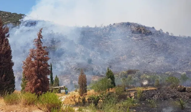 Türkiye'de 3 ilde orman yangını...