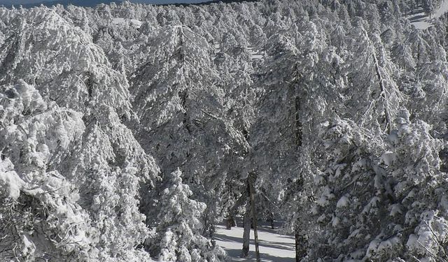 Hava soğuyor, Trodos’a kar bekleniyor