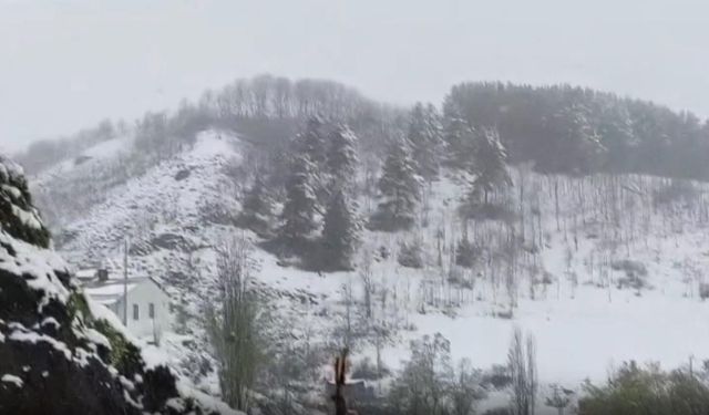İlkbaharda kış geri döndü: Erzurum'a lapa lapa kar yağdı