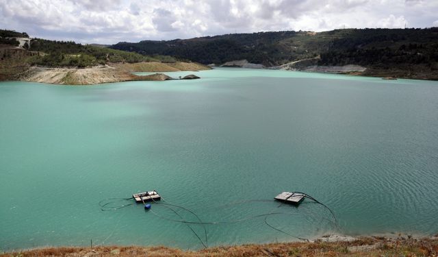 Narenciye Üreticiler Birliği'nden su dağıtımında adalet ve planlama çağrısı