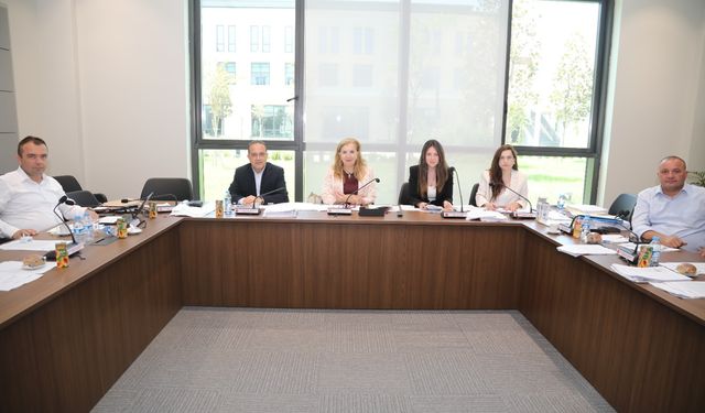 Meclis Maliye Komitesi gündemindeki yasa tasarıları ve yasa gücünde kararnameyi görüştü