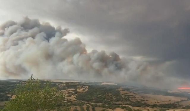 İspanya'da orman yangınlarında ölenlerin sayısı 3'e yükseldi