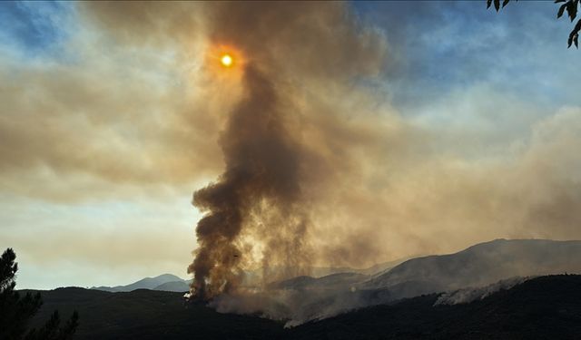 Portekiz ve İspanya orman yangınları ve aşırı sıcaklara karşı üst düzey alarmda