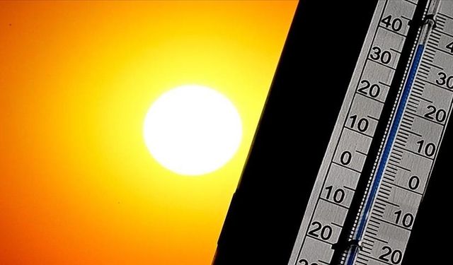 Portekiz'de aşırı sıcaklar nedeniyle son bir haftada 264 kişi öldü