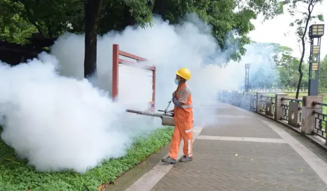 Chikungunya salgını: Çin’de "halk sağlığı acil durumu" ilan edildi