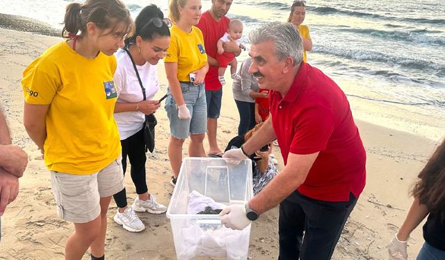 Deniz Kaplumbağaları Koruma ve Araştırma Projesi yıl sonu etkinliği yapıldı