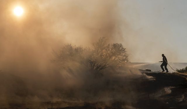 Limasol ve Baf bölgesinde yangın