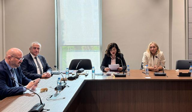 Meclis Hukuk, Siyasi İşler, Dışilişkiler ve Savunma Komitesi toplandı