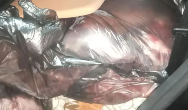 Gazimağusa’da 800 kg kaçak et ele geçirildi